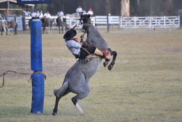 chacra sabado 14 de marzo 2026 (2)