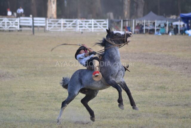 chacra sabado 14 de marzo 2026 (3)