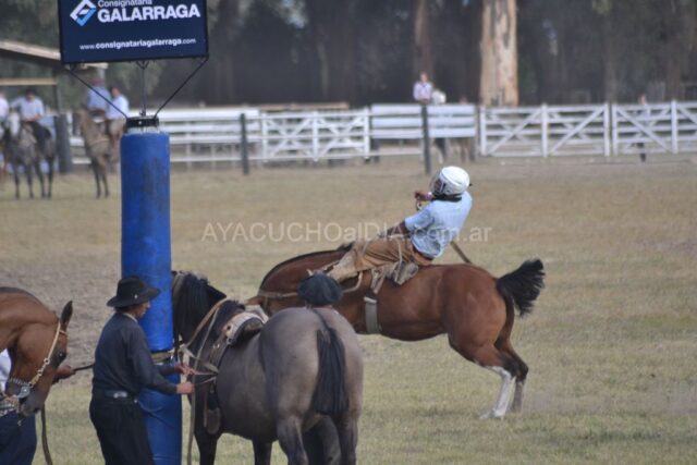chacra sabado 14 de marzo 2026 (7)